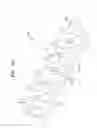 Fig. 28 - Apparatus for measuring bioelectrical signals