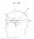 Fig. 34 - Apparatus for measuring bioelectrical signals