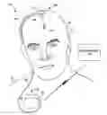 Fig. 01 - Lead and a system for medical applications