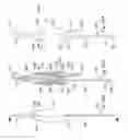 Fig. 42 - System for intra-abdominally moving an organ