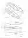 Fig. 02 - Absorbable surgical fasteners for securing prosthetic devices to tissue