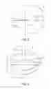 Fig. 03 - Adhered Contractional Elastomeric Membrane for Surgical Wound Design and Closure