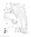 Fig. 02 - Vascular anastomosis device and method