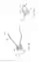 Fig. 13 - Device and method for through the scope endoscopic hemostatic clipping