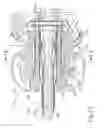 Fig. 19 - Features for communication of fluid through shaft assembly of ultrasonic surgical instrument