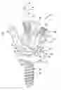 Fig. 01 - Pedicle screw system and spinal stabilization system