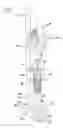 Fig. 08 - Pedicle screw system and spinal stabilization system