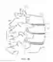 Fig. 03 - METHODS AND APPARATUS FOR COUPLING A PROSTHESIS TO A SPINAL SEGMENT