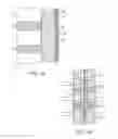 Fig. 05 - METHODS AND APPARATUS FOR COUPLING A PROSTHESIS TO A SPINAL SEGMENT