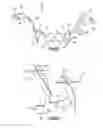 Fig. 04 - Orthognathic implant and methods of use