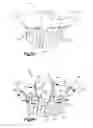 Fig. 11 - Orthognathic implant and methods of use