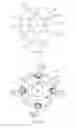 Fig. 07 - Screw for joint fusion