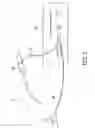 Fig. 04 - DEVICE AND METHOD FOR CONNECTING A MEDICAL INSTRUMENT TO A POSITION-DETECTING SYSTEM