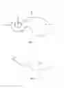 Fig. 02 - Cervical matrix