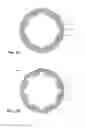 Fig. 04 - Dental implant socket arrangement