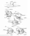 Fig. 06 - DENTAL IMPLANT INSERT ADAPTOR