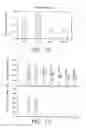 Fig. 09 - Mesh Fiber Members and Methods for Forming and Using Same for Treating Damaged Biological Tissue