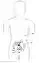 Fig. 01 - Implantable digestive tract organ