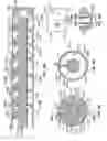 Fig. 18 - Implantable digestive tract organ