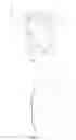 Fig. 03 - Implantable Myopia Lens and Preparation Method Thereof