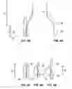 Fig. 05 - Replacement heart valve and method