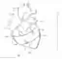 Fig. 01 - Biological Constructs for Treating Damaged Organs and Tissue