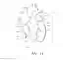Fig. 10 - Biological Constructs for Treating Damaged Organs and Tissue