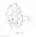 Fig. 12 - Biological Constructs for Treating Damaged Organs and Tissue