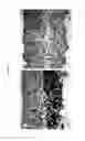 Fig. 14 - Intervertebral disc implant