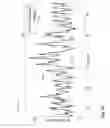 Fig. 20 - Method for amplifying signals from individual nerve fascicles