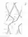 Fig. 05 - Stent