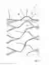Fig. 06 - Stent