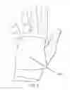 Fig. 06 - Ergonomic Hand Pillow
