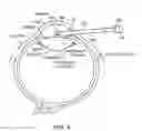 Fig. 05 - Image-guided eye surgery apparatus
