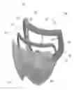 Fig. 05 - GOGGLE SYSTEM WITH AN INTERCHANGEABLE LENS