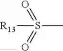 Fig. 06 - Process for dyeing in the presence of oxidation bases comprising at least one sulfonic, sulfonamide, sulfone, amid or acid group and a metal catalyst, device and ready-to-use composition