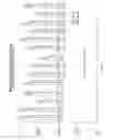 Fig. 04 - Skin compositions and methods of use thereof