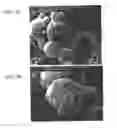 Fig. 03 - Drug Delivery Systems and Use Thereof