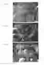 Fig. 08 - Drug Delivery Systems and Use Thereof