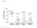 Fig. 03 - Methods of treating pulmonary disorders with liposomal amikacin formulations