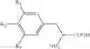 Fig. 02 - Stable pharmaceutical compositions of thyroid hormone drug