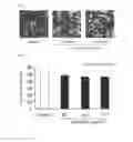 Fig. 03 - COMPOSITION FOR SUPPRESSING ADIPOCYTE DIFFERENTIATION, FOR REDUCING FAT ACCUMULATION AND/OR FOR PROMOTING ADIPONECTIN SECRETION AND USAGE FOR SAID COMPOSITION
