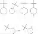 Fig. 55 - MODULATORS OF ATP-BINDING CASSETTE TRANSPORTERS