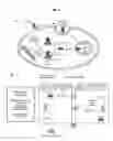 Fig. 02 - Methods and Compositions for Treating Clostridium difficile Associated Disease