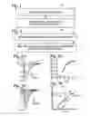 Fig. 02 - Composition for reducing nervous system injury and method of making and use thereof