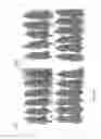 Fig. 03 - Nanoparticles for Encapsulation and Delivery of Bioactive Compounds and Compositions Thereof