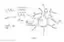 Fig. 04 - DRUG RELEASING AGENT BASED ON beta-SITOSTEROL AND A PREPARATION METHOD THEREOF
