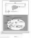 Fig. 09 - COMPOSITION, FORMULATIONS AND METHODS OF MAKING AND USING BOTANICALS AND NATURAL COMPOUNDS FOR THE PROMOTION OF HEALTHY BRAIN AGING