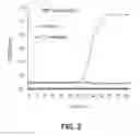 Fig. 03 - Bovine milk oligosaccharides