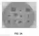 Fig. 04 - Bovine milk oligosaccharides